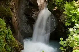 Ruisseau du Bois de l'Ours