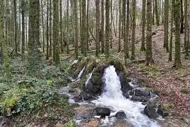 Ruisseau de la Calabourdane