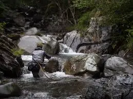 Ruisseau du Plan Fornay