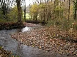 Ruisseau de la Fullie