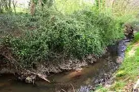Ruisseau des Combes