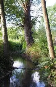 Ruisseau de Gringalet