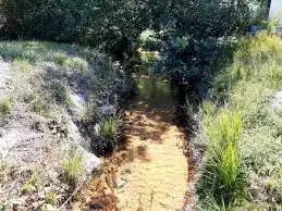 Ruisseau du Cucheron