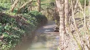 Ruisseau de Bouscasset