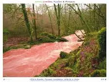 Ruisseau de la Branque