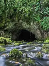 Ruisseau de Pechique