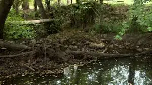 Ruisseau de Saint-Barthélemy