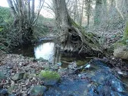 Ruisseau de Lézertou
