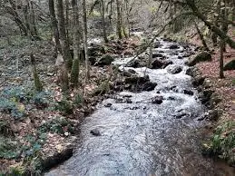 Ruisseau de la Bagasse de Granié