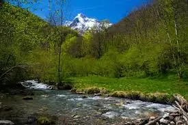 Ruisseau de Vervère