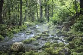 Ruisseau de Bonnefon