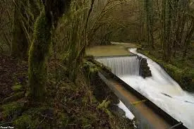 Ruisseau de la Rauze