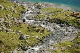 Ruisseau des Ferrayrous