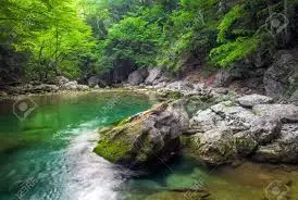 Ruisseau de la Verdille