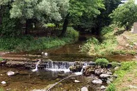 Ruisseau des Bousigues