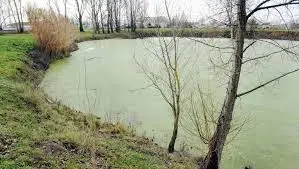 Plan d'eau d'Aucamville