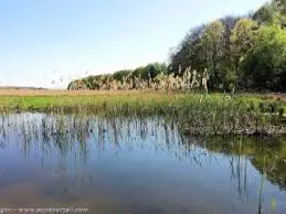 Plan d'eau de Marines