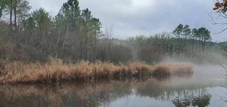 Lac de Rioutard a Saint-Paul-en-Forêt