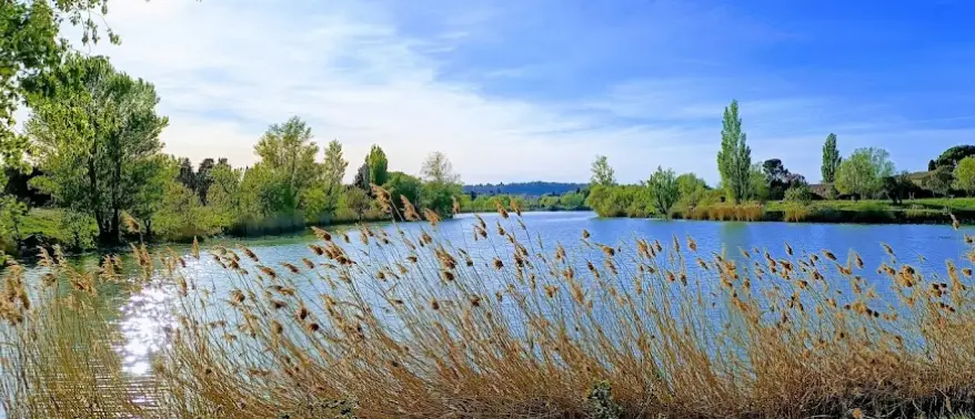 Plan d'eau des Paluds
