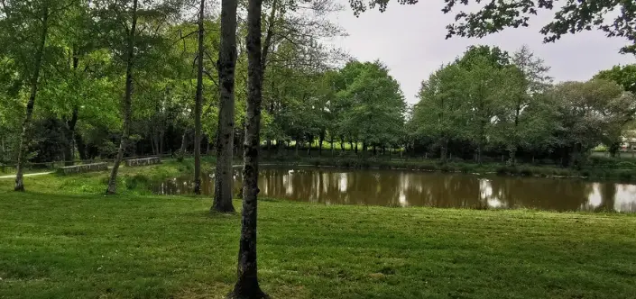 Plans d'eau du Pré de la Fontaine à la Chapelle-Achard