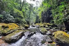 RU de Pres des Gouttes