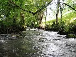 Le ruisseau de Montfa