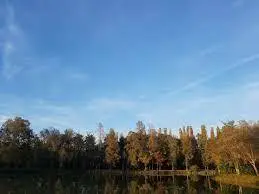 Vinon – Etang de la Cardeux