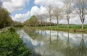 Pêche Canal de Bourgogne