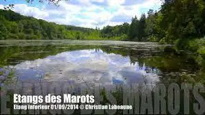 Les Étangs Marots