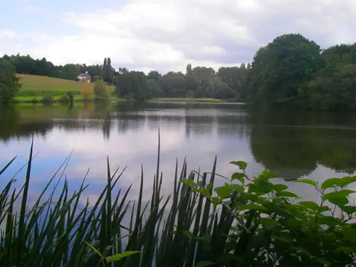 Etang de Saint-Thelo