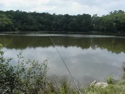 Etang de Rochereuil