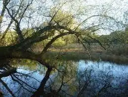 Sablière de Bart Arbouans