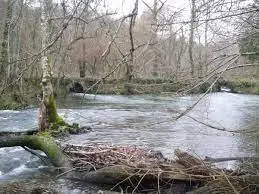 Ruisseau de Lantenne
