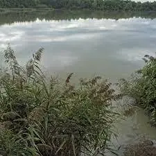 Ruisseau de la Jarlette