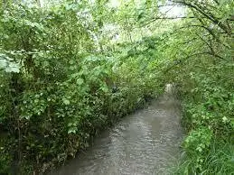 Ruisseau de Girmone