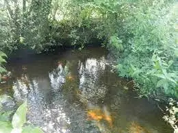 Pêche Ruisseau du Crann