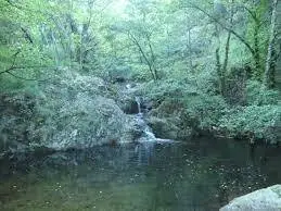 Ruisseau de Chamblas