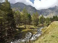 Ruisseau de Georgières