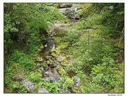 Ruisseau de Fourdonnes