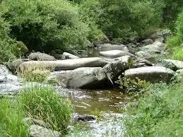 Ruisseau de Gourdouse
