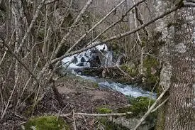 Ruisseau d'Alteyrac
