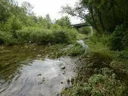 Ruisseau de Rouffiés