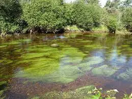 Ruisseau de la Reboutière