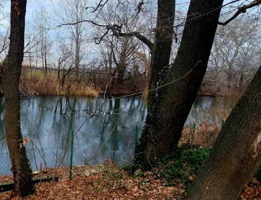 Dömsödi Holt Duna-ág