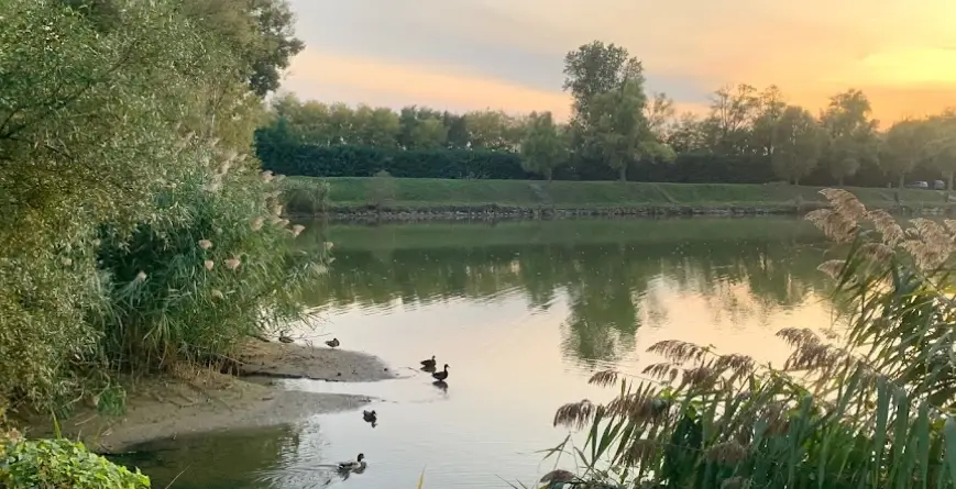 Csömöri horgásztó