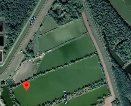 Füzes tavak IV.-V.-VI.