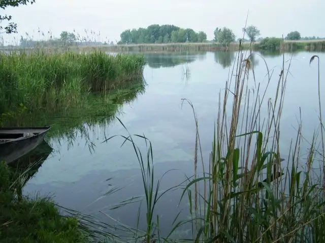 Szélmezői tőzegbánya tavak