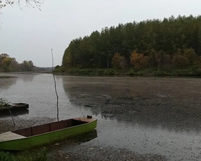 Serházzugi Holt-Tisza