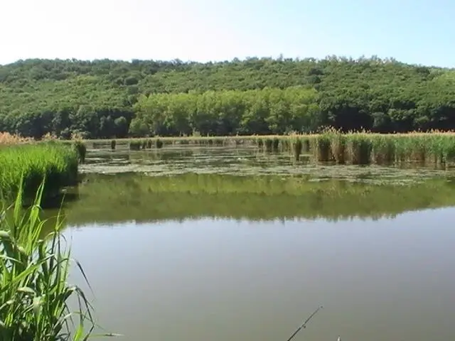 Berekalji horgásztó