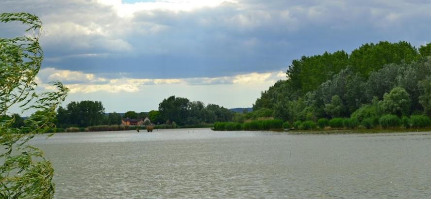 Bogyiszlói Holt-Duna